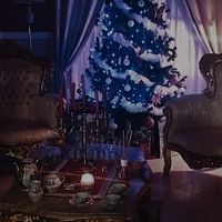 Avete mai fatto l'albero insieme? - 1