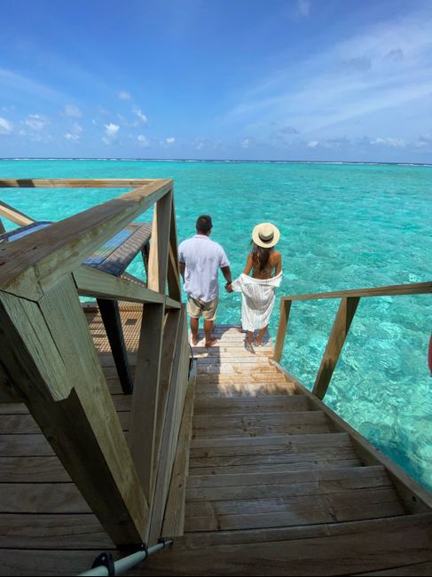 Luna di Miele 🍯♥️ 1