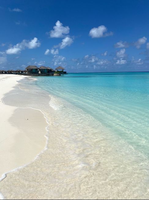 Luna di Miele 🍯♥️ 2