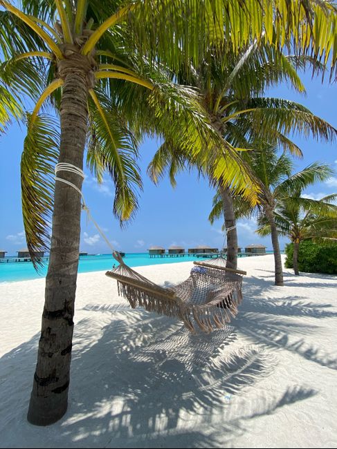 Luna di Miele 🍯♥️ 3