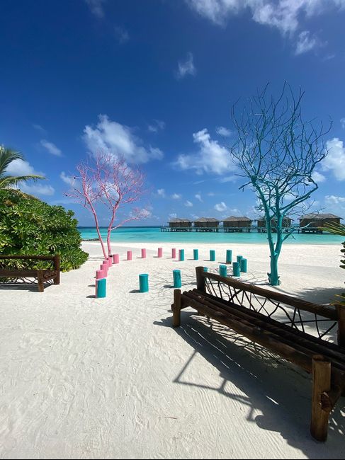 Luna di Miele 🍯♥️ 4