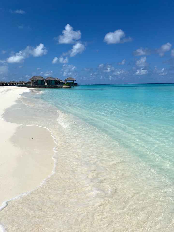 Luna di Miele 🍯♥️ - 2