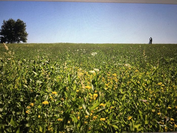 Alcuni scatti ufficiali (screenshot dal pc)! - 4