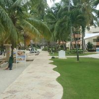 Luna di miele prenotata! - 1