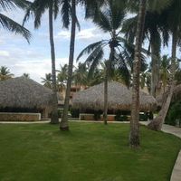 Luna di miele prenotata! - 2