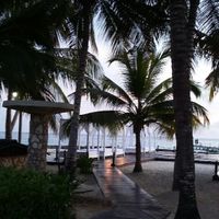 Luna di miele prenotata! - 3