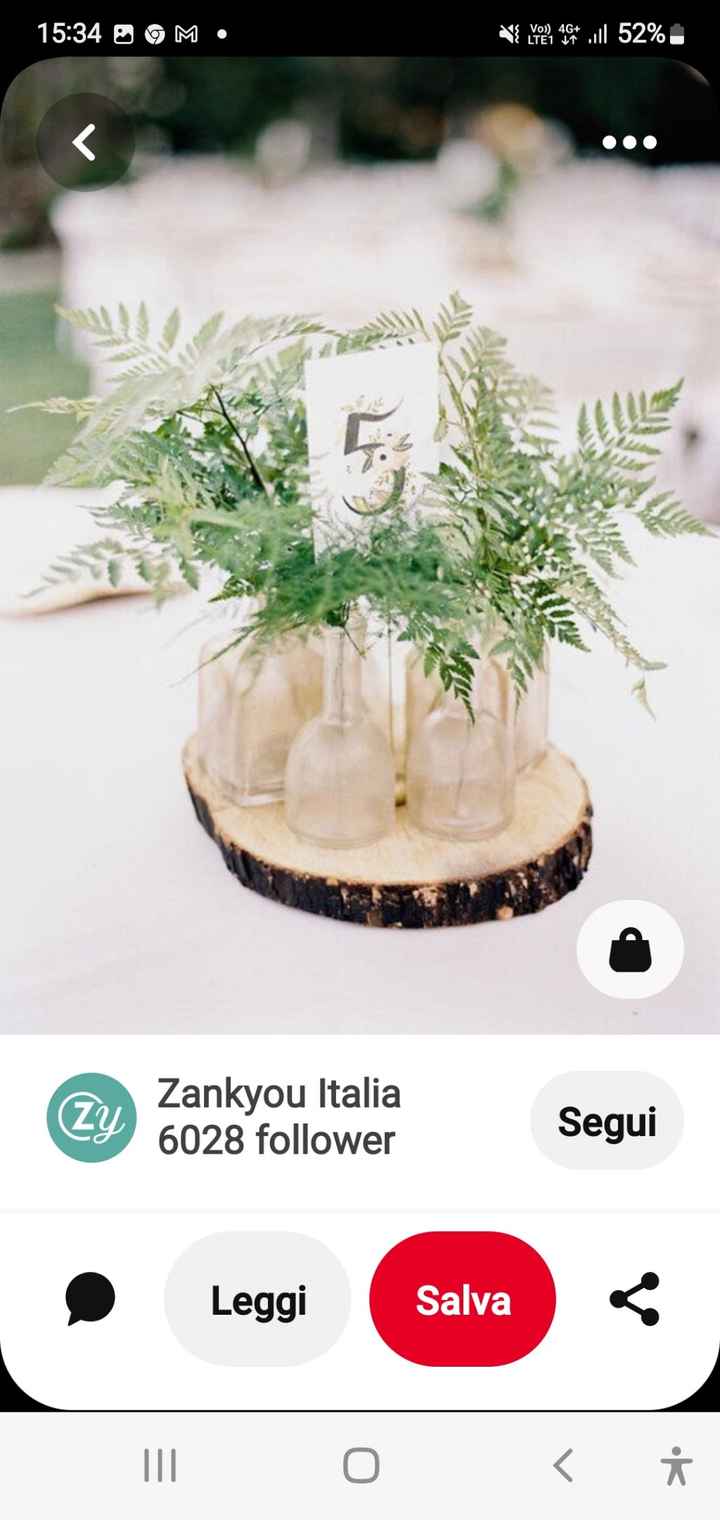 Principessa nel bosco - 3