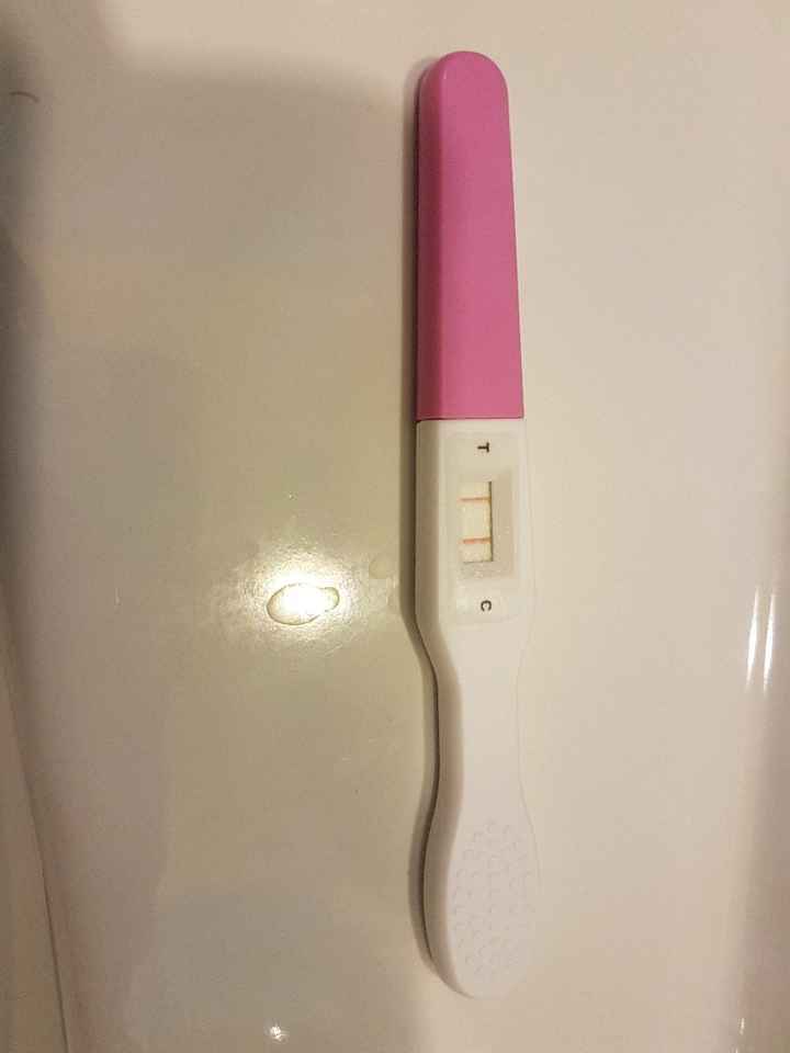 Chi non le aspetta per ottobre 2020 🍀❤️🍀❤️🍀❤️🍀❤️🍀❤️🍀❤️🍀 - 1