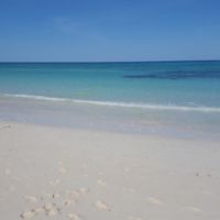 Si ritorna .... 😣 - 3