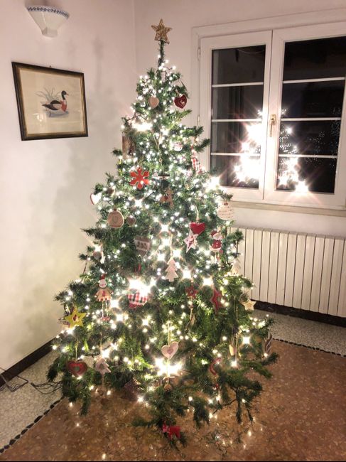 🎄 8 dicembre: l'albero di Natale 5