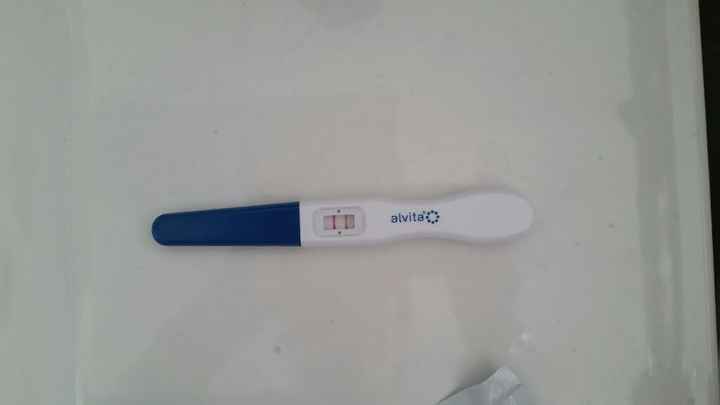 Donne aiuto non capisco ! - 2