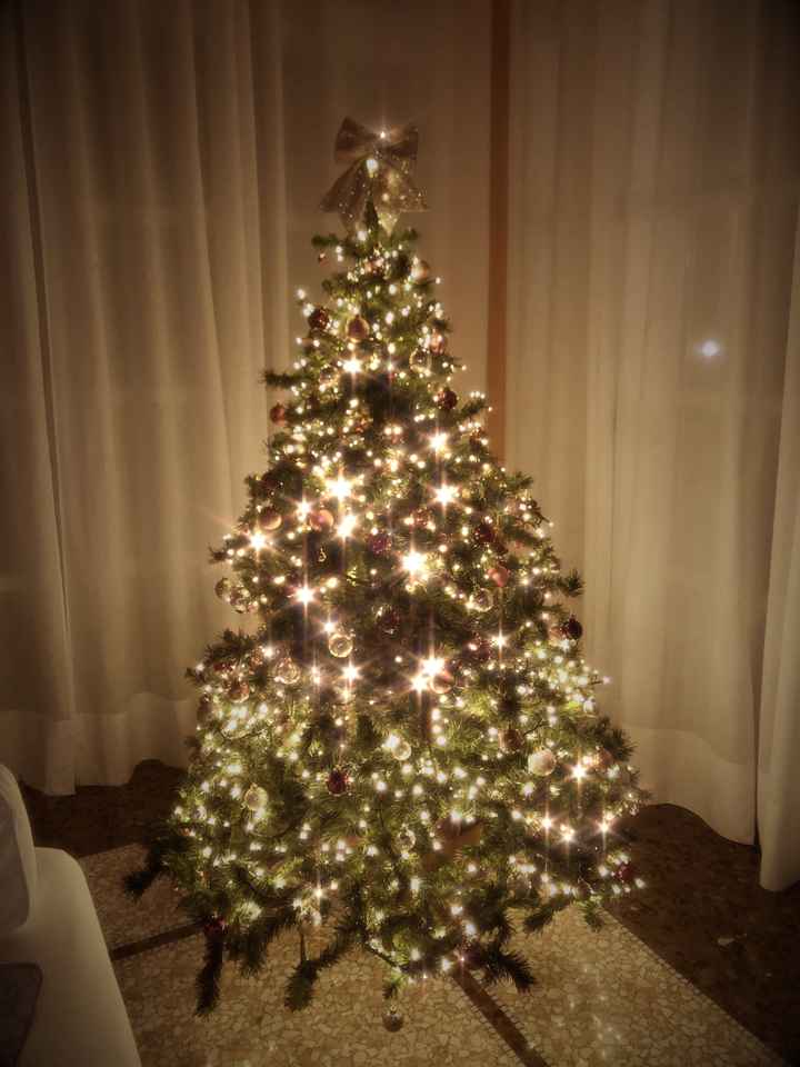 🎄 8 dicembre: l'albero di Natale - 1