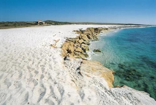 Musica cerimonia con quartetto d'archi?! - 1