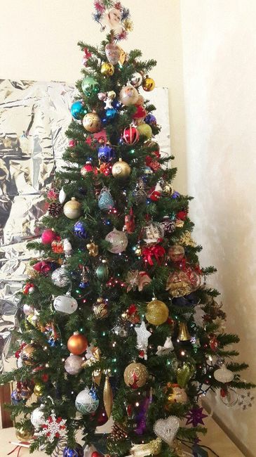 Fatto anche l'albero di Natale! - 1