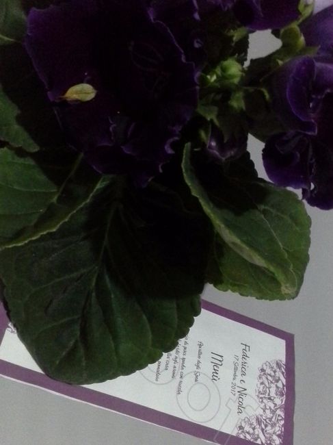 Il nostro menù 😍