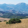 Elisabetta