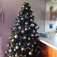 Il vostro albero di natale! - 1