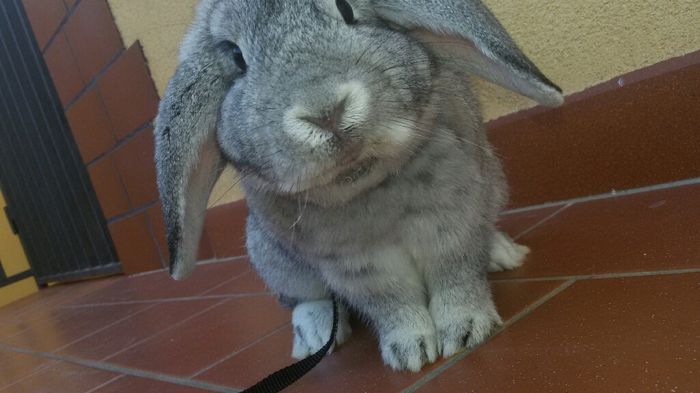 Il natale è arrivato anche qui 😍 7