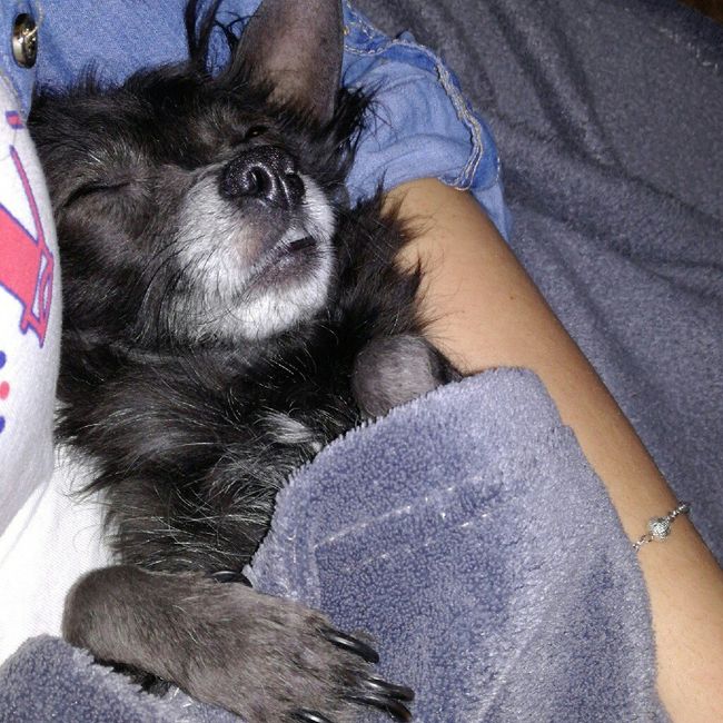 Serata nostalgica - 1