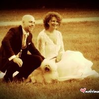 Il peloso di casa, Tommy