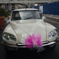 Il giorno più bello