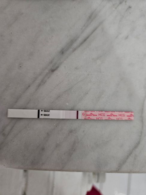 Chi non le aspetta per novembre 2023 🌰🍂🤎 - 4