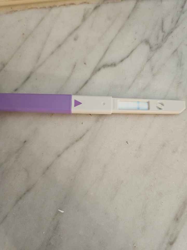 Chi non le aspetta per novembre 2023 🌰🍂🤎 - 2