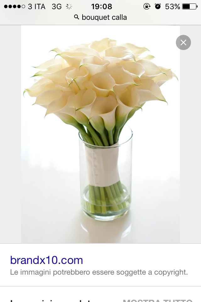 Quale è il più elegante? - 1