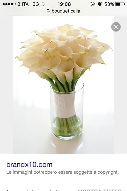 Quale è il più elegante? - 1