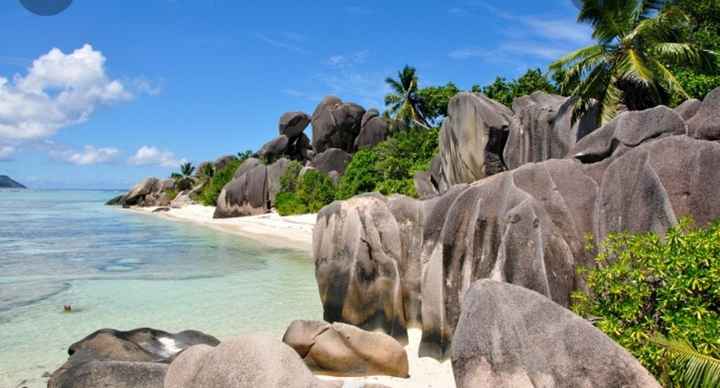 Dove andrete e perché? - 1