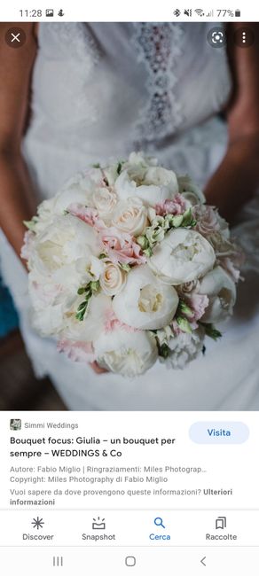 Avrò un abito Rosso di raso! Un bouquet del genere? Sul bianco? 2