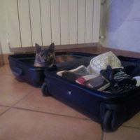 Collaboratori pelosi ❤️ - 1