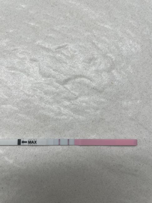 Chi non le aspetta per Dicembre 2023 😬🎁🎄❄️ - 1