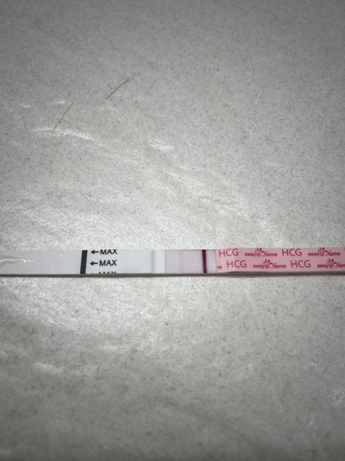 Chi non le aspetta per maggio 2025 🍀🌸🌺💐🌻 2