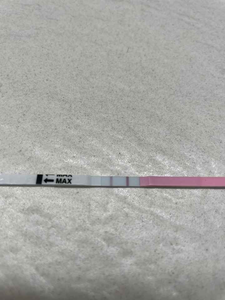 Chi non le aspetta per Dicembre 2024 🎄🍀♥️ - 1