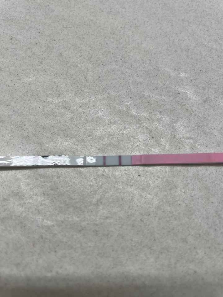 Chi non le aspetta per Dicembre 2024 🎄🍀♥️ - 2