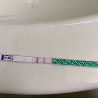 Canadese ovulazione primo giorno ritardo - 1