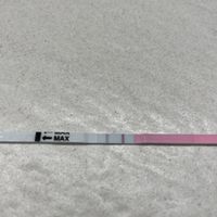 Chi non le aspetta per Dicembre 2024 🎄🍀♥️ - 1