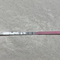 Chi non le aspetta per Dicembre 2024 🎄🍀♥️ - 2