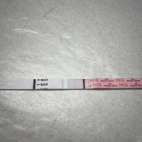 Chi non le aspetta per maggio 2025 🍀🌸🌺💐🌻 - 1