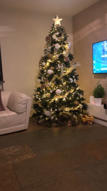 Avete mai fatto l'albero insieme? - 1