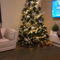 Avete mai fatto l'albero insieme? - 1