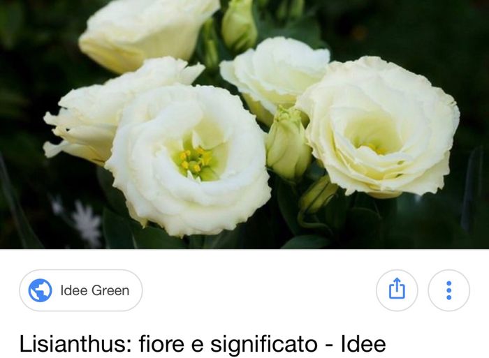 Quanto spendi per i fiori? 🤔🤔🤔 - 1