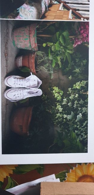 Preferisco queste scarpe  👠 - 3