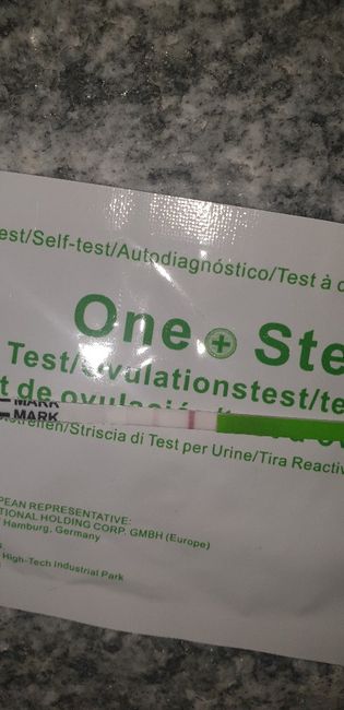 Test ovulazione canadese chi mi aiuta?? - 1