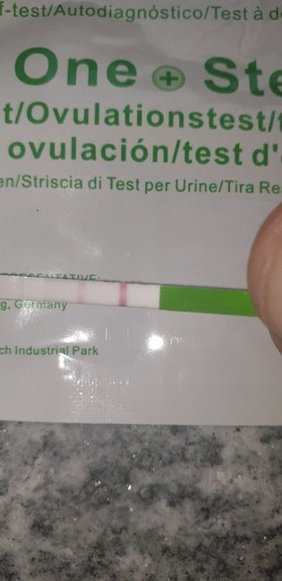 Test ovulazione canadese chi mi aiuta?? 7