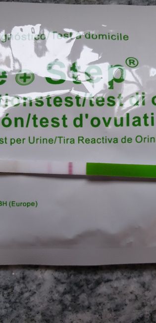 Test ovulazione canadese chi mi aiuta?? 13