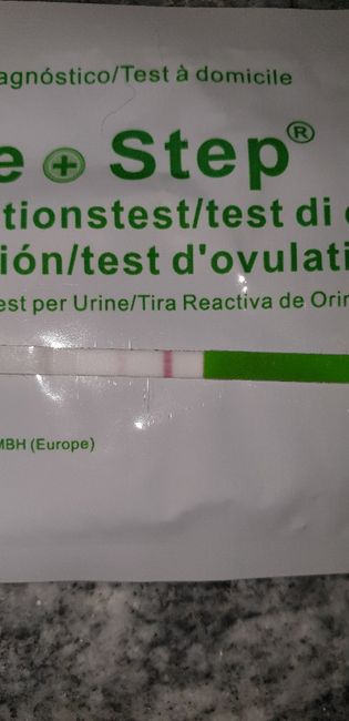 Test ovulazione canadese chi mi aiuta?? 14