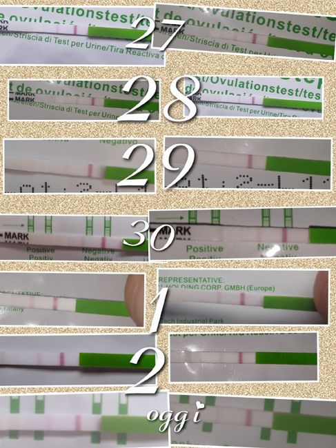 Test ovulazione canadese chi mi aiuta?? 2