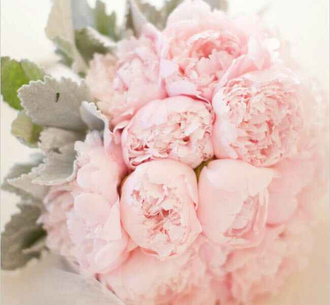 Quanto spendi per i fiori? 🤔🤔🤔 - 4